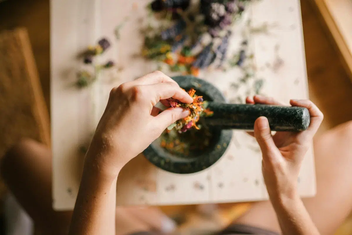 Powerful Healing Plants Used by Indigenous Cultures