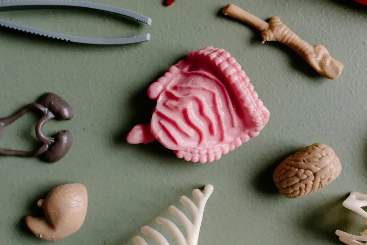 7 Jaw-Dropping Human Body Secrets You Never Knew