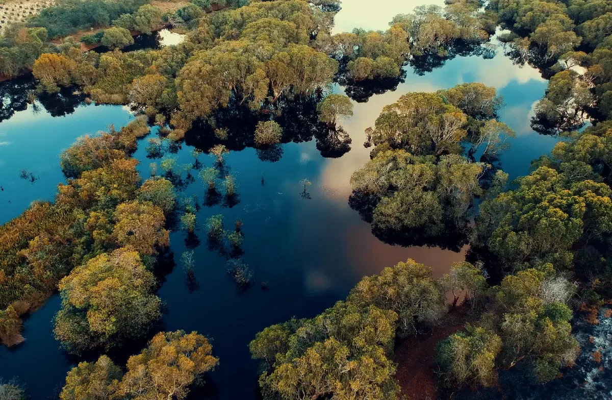 Resilient Plants Surviving Earth's Most Extreme Conditions